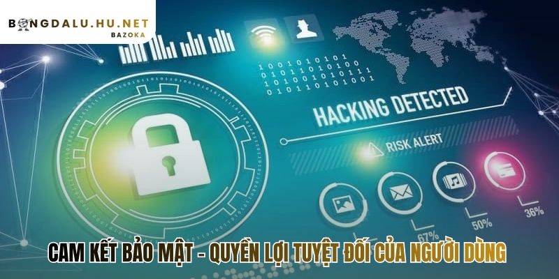 Chính sách bảo mật cam kết bảo vệ dữ liệu bằng công nghệ SSL